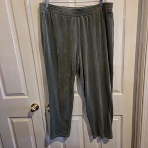 Lori Goldstein Velvet Full Length Pants Green Size 1X Casual Pull Up QVC
